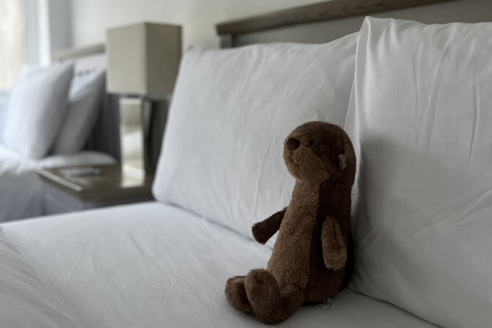Beds with lamp and teddy bear